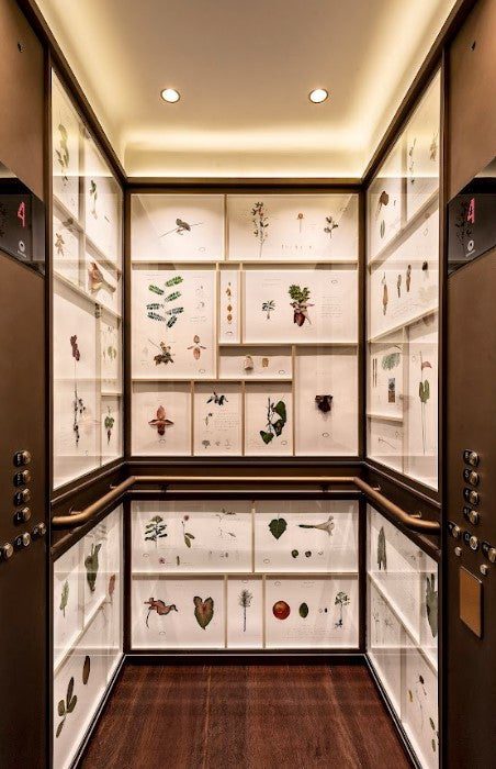 Interior de um dos elevadores do Hotel Rosewood é decorada com uma coleção de gravuras de plantas híbridas de Walmor Corrêa
